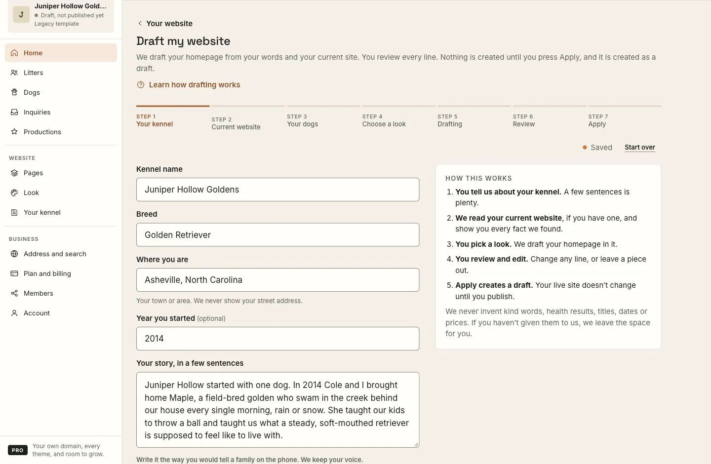 The first Draft my website step with the setup steps across the top, saved answers in the main form and an explanation of the review flow beside it