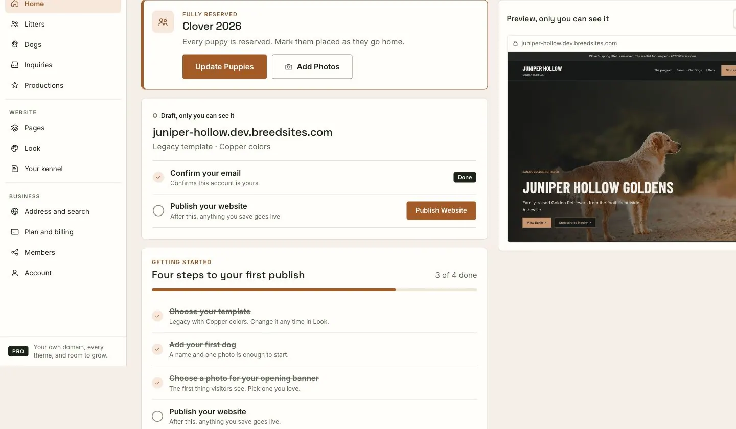 The editor home with navigation on the left, setup steps and recent activity in the middle, and the website preview on the right