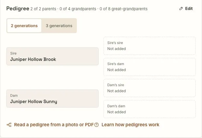 Banjo's saved pedigree card showing Juniper Hollow Brook and Juniper Hollow Sunny as the parents, with the grandparent positions still empty