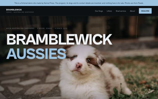 The Bramblewick Aussies demo home page using the dark Showcase dog breeder website template