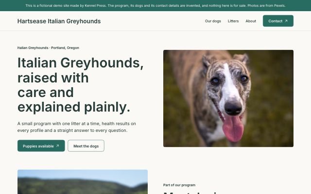 The Hartsease Italian Greyhounds demo home page using the calm Clearview dog breeder website template