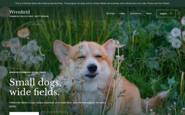 The Wrenfield Corgis demo home page using the Field Notes dog breeder website template