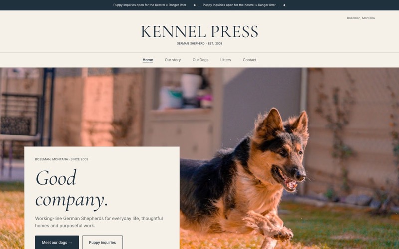 A German Shepherd breeder website home page with the breeder’s town, founding year and a dog running across a lawn
