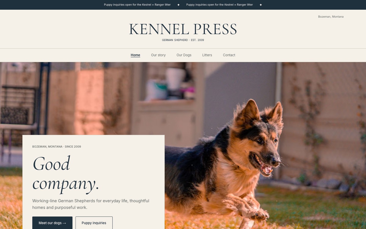 A German Shepherd breeder website home page with the breeder’s town, founding year and a dog running across a lawn