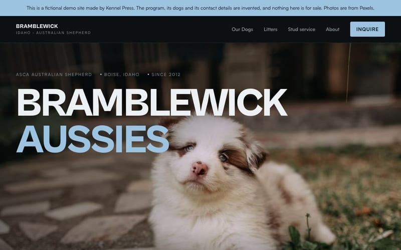 The Bramblewick Aussies demo website shown in the dark, image-forward Showcase template