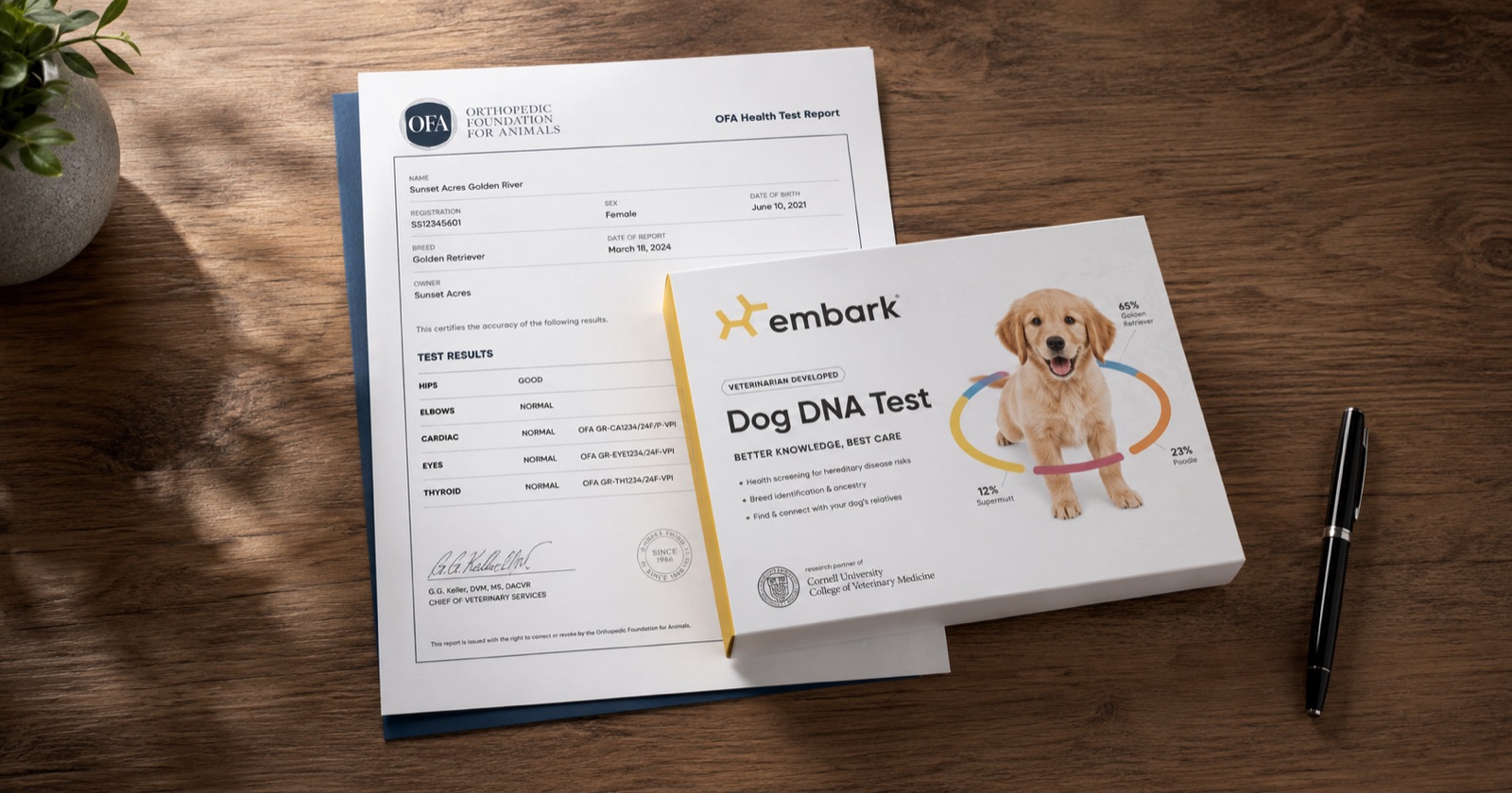 An OFA certificate beside an Embark dog DNA test kit