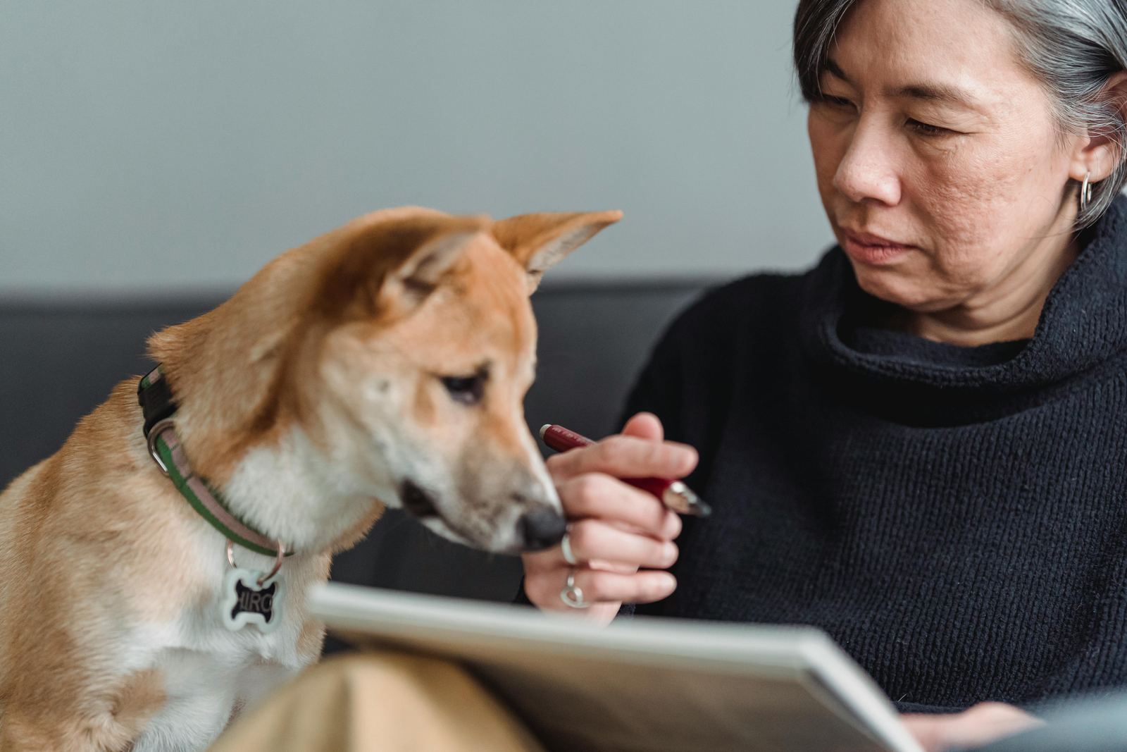 A woman writing in a notebook while a Shiba Inu looks on